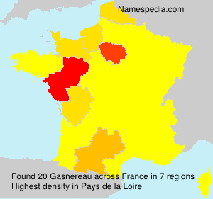 Surname Gasnereau in France