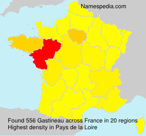 Surname Gastineau in France