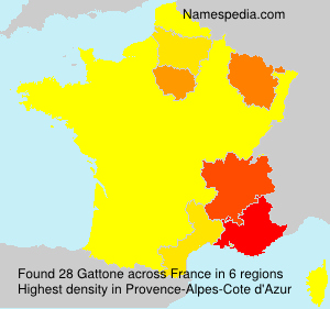 Surname Gattone in France