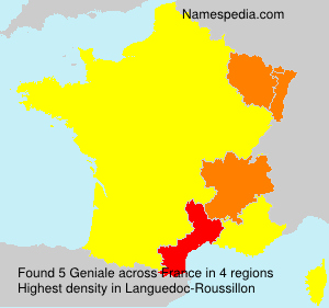 Surname Geniale in France