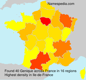 Surname Genique in France