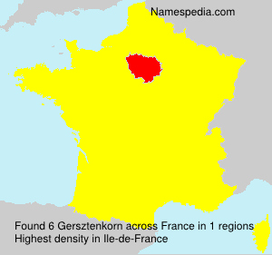 Surname Gersztenkorn in France