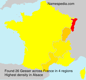 Surname Gesser in France