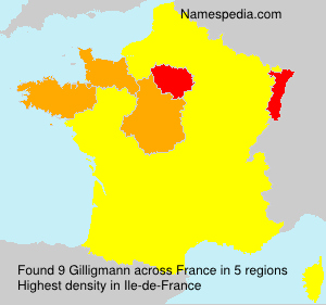 Surname Gilligmann in France
