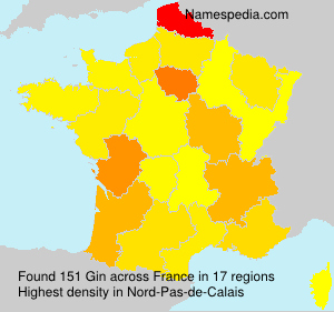 Surname Gin in France