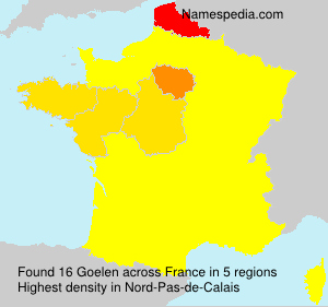 Surname Goelen in France
