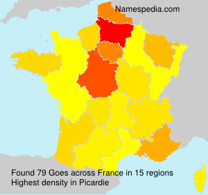Surname Goes in France