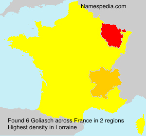 Surname Goliasch in France
