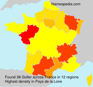 Surname Goller in France