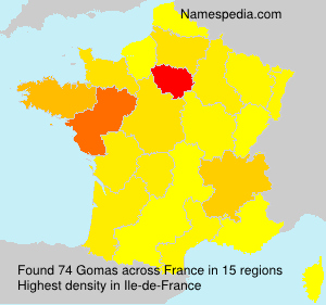Surname Gomas in France