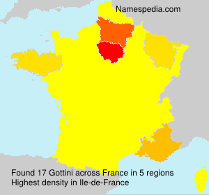 Surname Gottini in France
