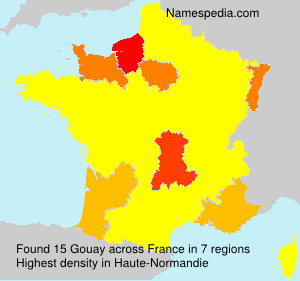 Surname Gouay in France
