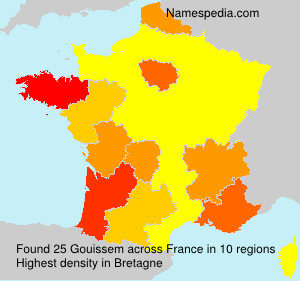 Surname Gouissem in France
