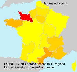 Surname Gouix in France