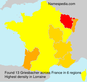 Surname Griesbacher in France