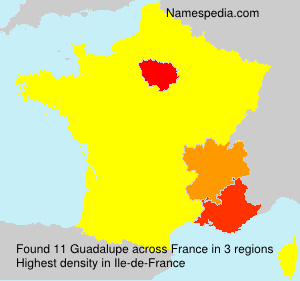 Surname Guadalupe in France