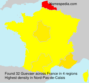 Surname Guevaer in France