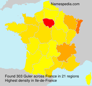 Surname Guler in France