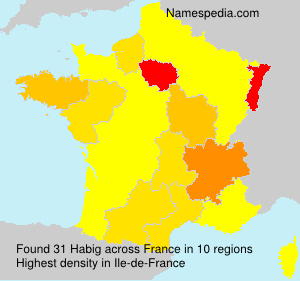 Surname Habig in France