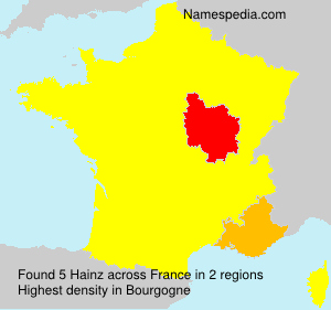 Surname Hainz in France