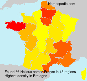 Surname Halleux in France