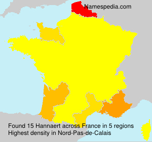 Surname Hannaert in France