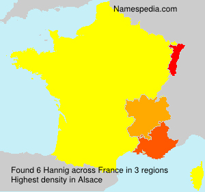 Surname Hannig in France
