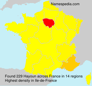 Surname Hayoun in France