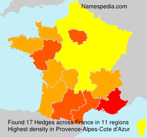 Surname Hedges in France