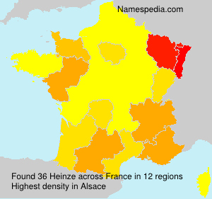 Surname Heinze in France
