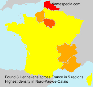 Surname Hennekens in France