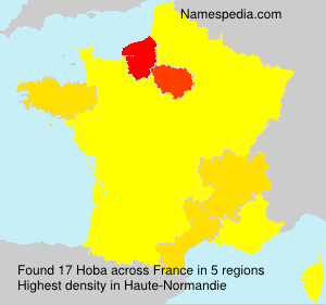 Surname Hoba in France