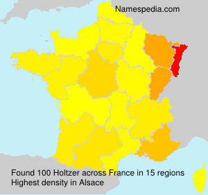 Surname Holtzer in France