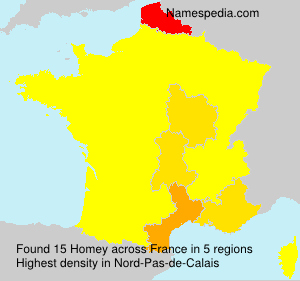 Surname Homey in France