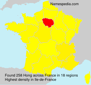 Surname Hong in France