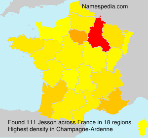 Surname Jesson in France