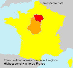 Surname Jinah in France