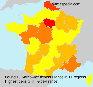 Surname Karpowicz in France