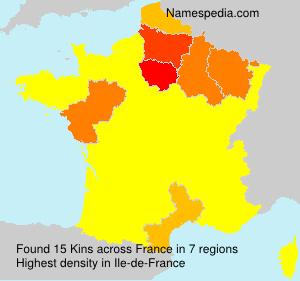 Surname Kins in France
