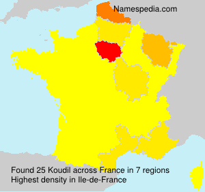 Surname Koudil in France