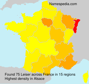 Surname Leiser in France