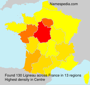 Surname Ligneau in France