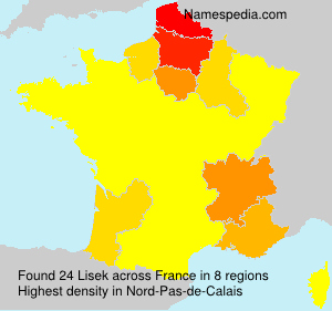 Surname Lisek in France