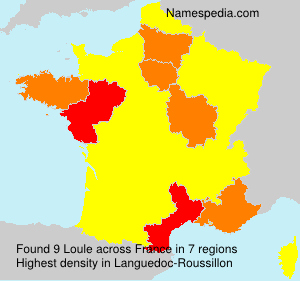 Surname Loule in France