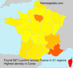 Surname Lucchini in France