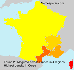 Surname Magurno in France