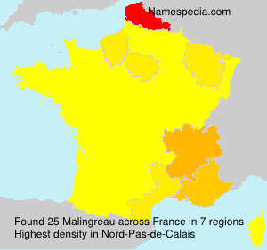Surname Malingreau in France