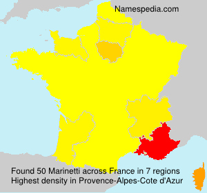 Surname Marinetti in France