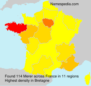 Surname Merer in France