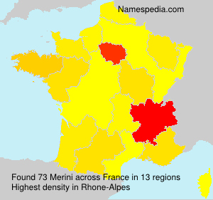 Surname Merini in France